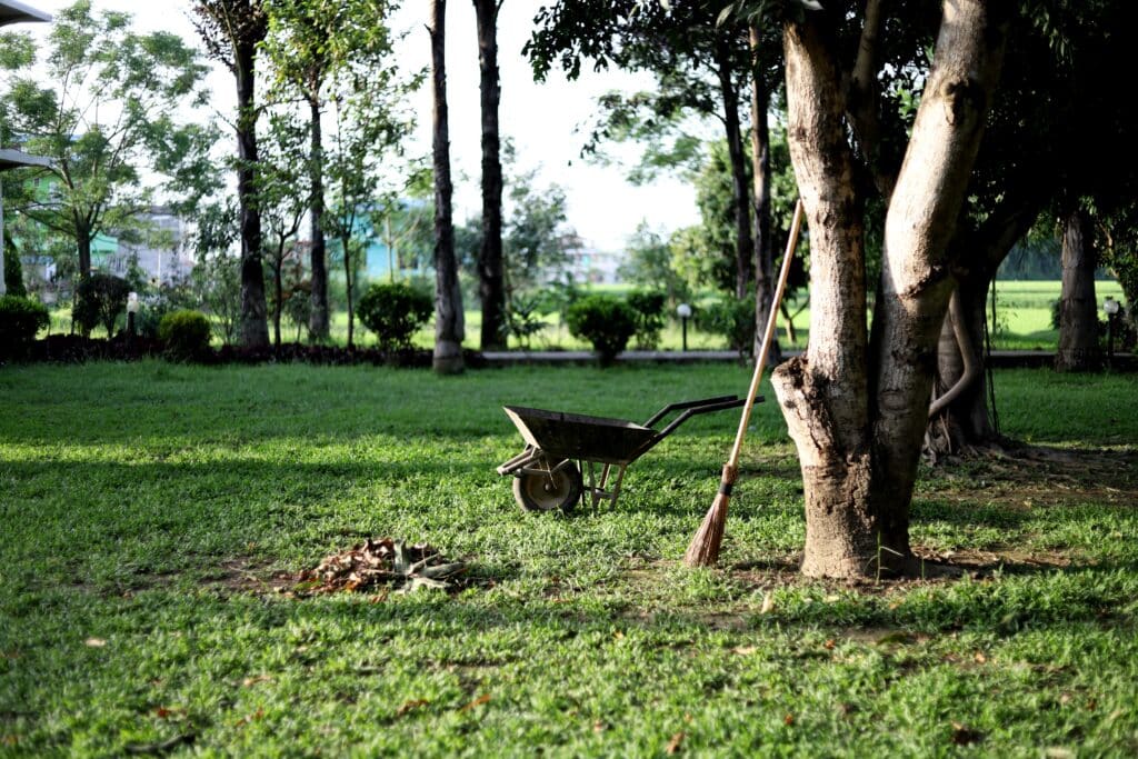 Des outils de jardinage dans un jardin à entretenir