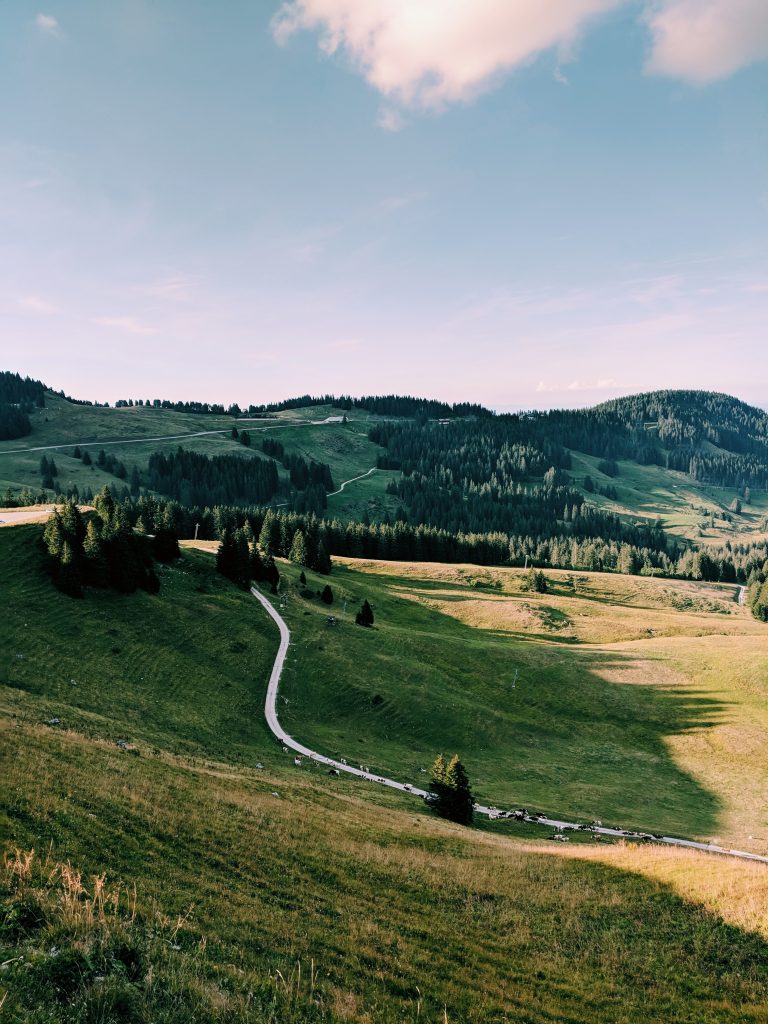 Un chemin de campagne